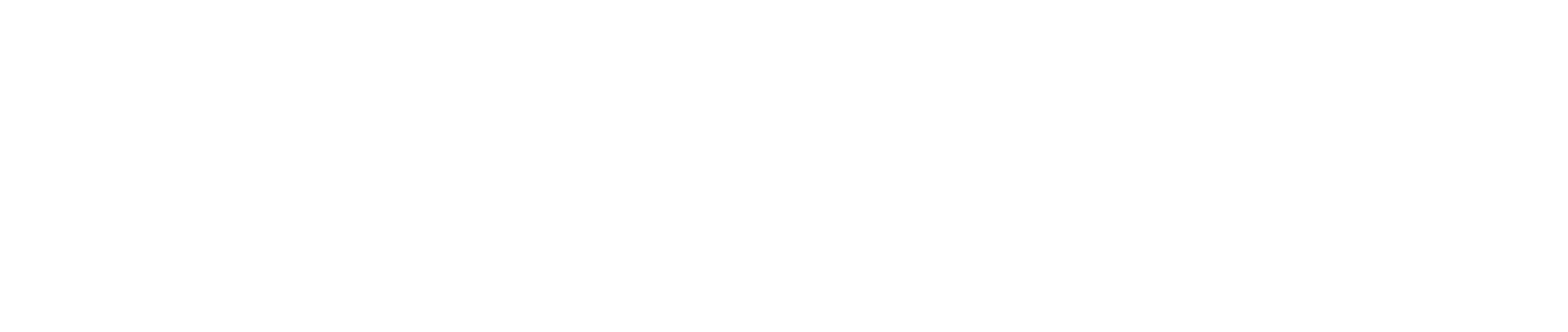 logo blanc Selenium Medical