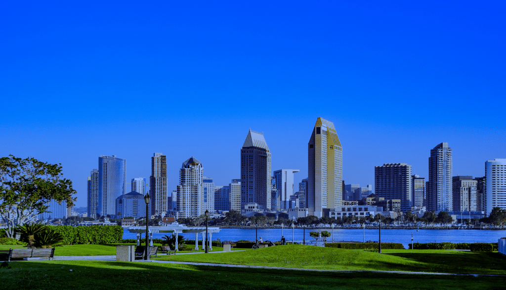 Selenium Medical exhibits at the AAOS 2025.